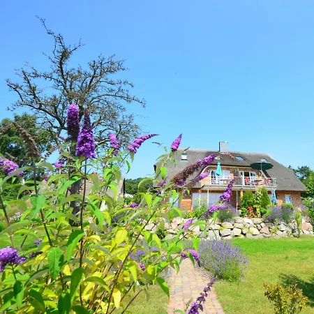 Sonnenkamp-4 By Interhome Daire